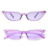 Elegant Women Cat Eye Design Sunglasses With Retro Small Eyeglass And Uv Protection