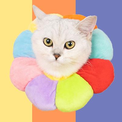 Elizabeth Collar Cat Cat Supplies Anti-bite and Anti-lick Rainbow Elizabeth Collar Soft Cloth Elizabeth White Pet Head Cover