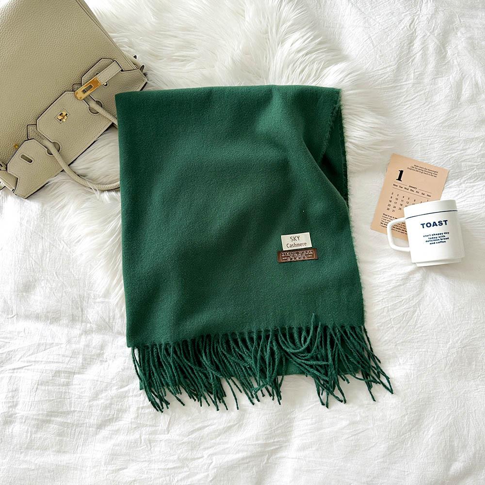 Mode Einfarbiger Schal Damen Winter Neuer Stil Imitationskaschmirschal Mehrfarbiger Warmer Schal Langer Schal