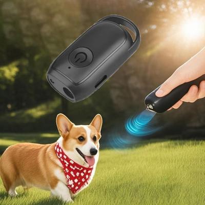 Chiens – Matériel pour entraînement et dressage de chien