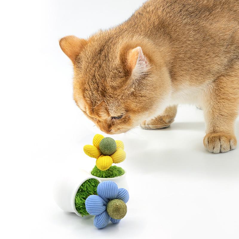Catnip Balls, Cat Gnawing Toys, Cute Flowerpot Cat Toys, Wooden Tianliao Teething Sticks, Self-entertaining and Boring Toys for Kittens