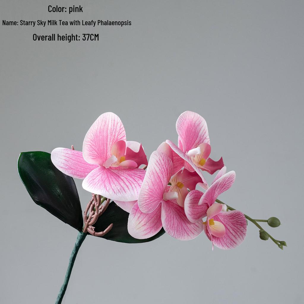 Starry Sky Milk Tea Phalaenopsis Orchid with Leaves - INS Style Faux Flower for Home Decor and Weddings