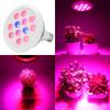 36W E27 LED Grow Light for Indoor Plants and Seedlings