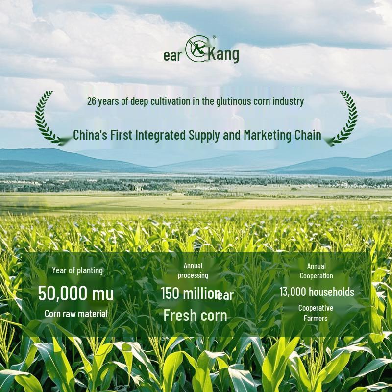 Suikang Sweet White Waxy Corn