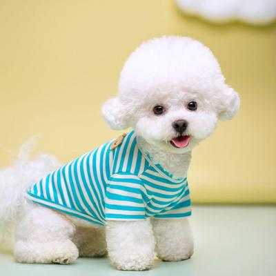 Ropa y calzado – Sudaderas para perros
