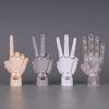 1:2 Scale Human Hand Model Mini Size Twisted Egg Design Palm Model Movable Joints With Posable Fingers Movable Finger Joints