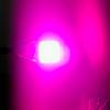 Durable 50W LED Lights Chip No Need Driver DIY COB Bead Bulb Chip for Garden Lighting Focus Spotlight Flood Lamp