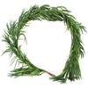 Artificial Norfolk Pine Garland Lifelike Xmas Pine Garland for Mantle Table Stair Handrail