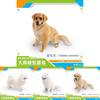 Realistic Large Pet Dog Model Pvc Toy For Childrens Educational Play And Desktop Decor