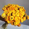 Daisy Dried Flower Bouquet for Living Room and Bedroom Décor - Natural Yunnan Flowers for Display or Photo Props