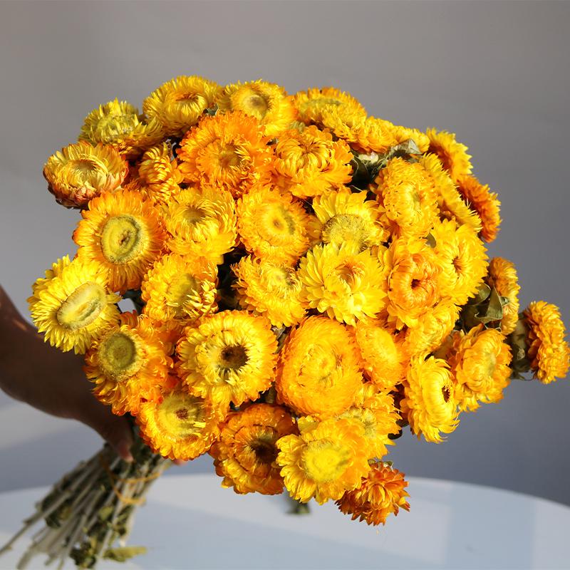 Daisy Dried Flower Bouquet for Living Room and Bedroom Décor - Natural Yunnan Flowers for Display or Photo Props