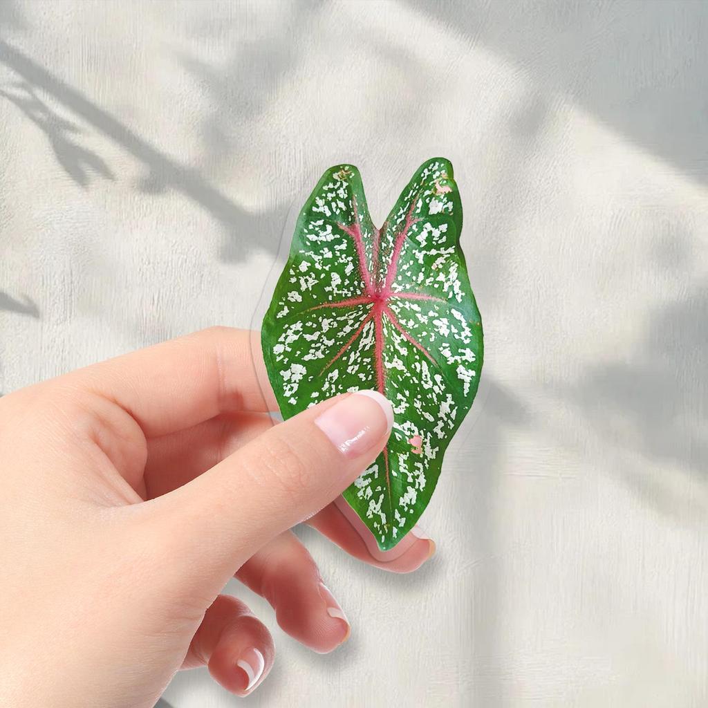 50 Sheets of Realistic Translucent Taro Leaf Stickers for DIY Crafts: Envelopes, Helmets, Phone Cases