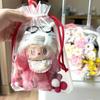 Labubu Transparent Silicone Cover for 15-19cm Cotton Doll Pendant