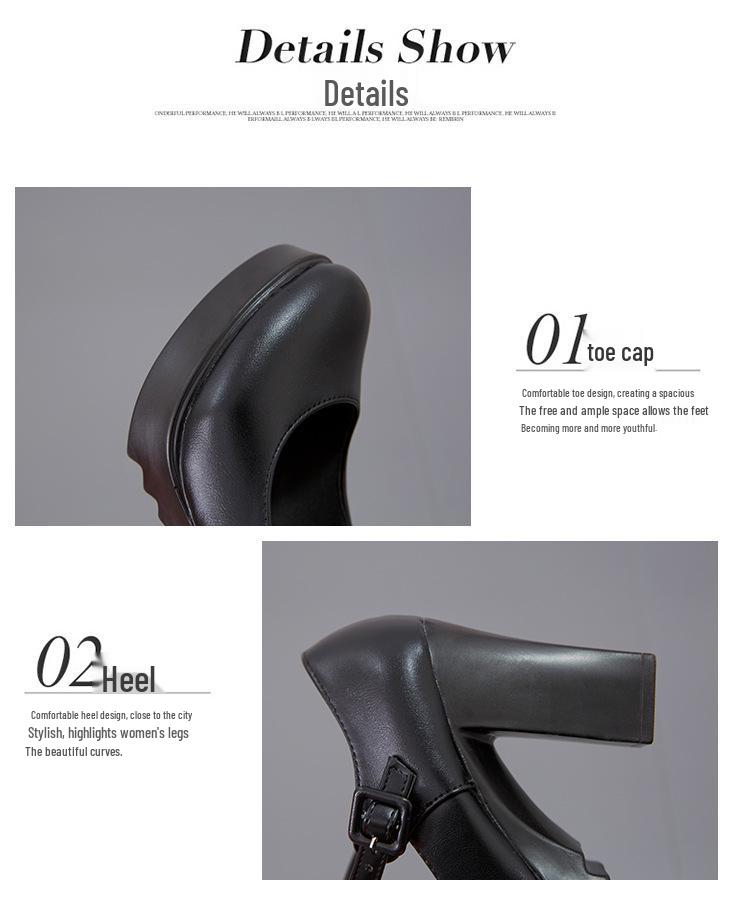 Spring & Autumn Round Toe Platform Chunky Heel Non-Slip Women's Shoes