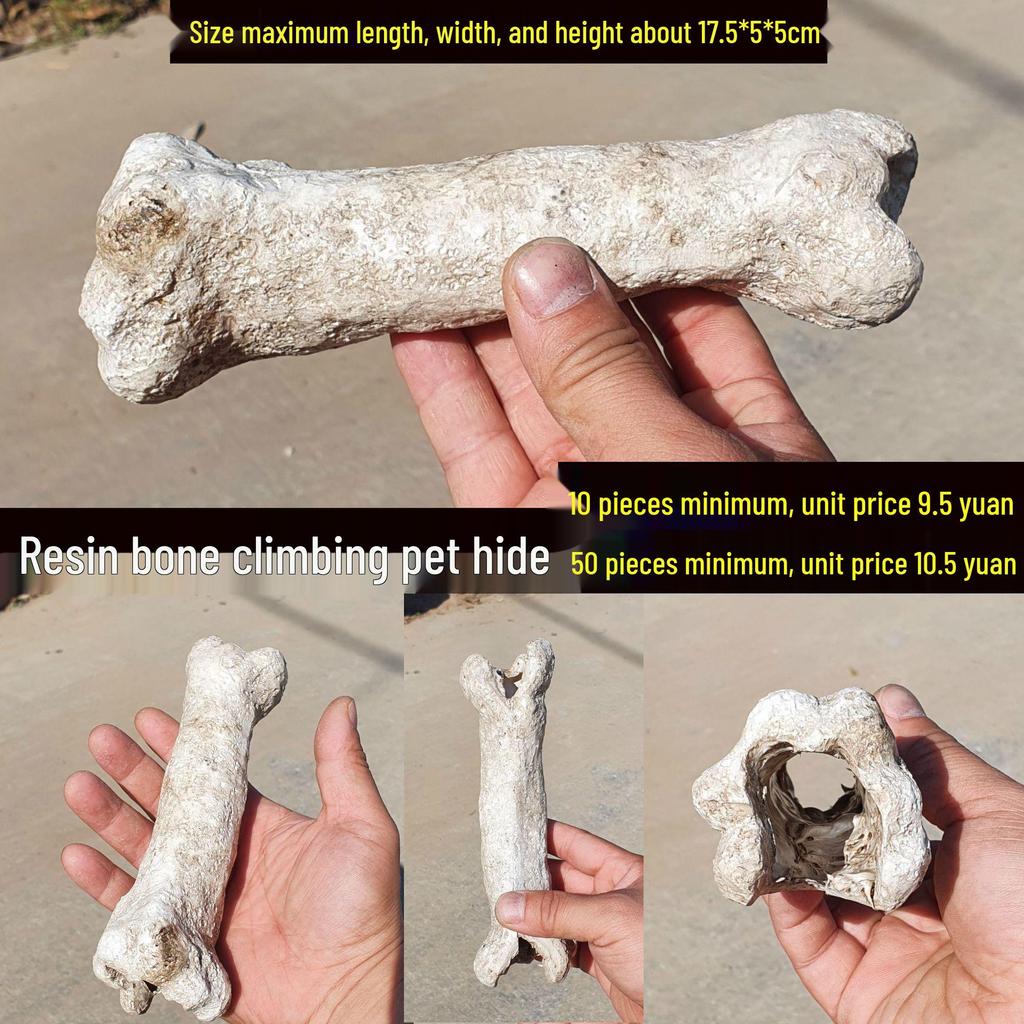 Akril Hüllőtenyésztő Doboz Dekoratív Koponyával