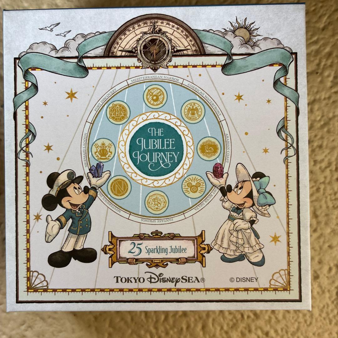 Mirror Disney 25th Anniversary Theme Port Agrabah