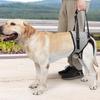 Dog Support Harness: Rear Leg Assist Belt for Disabled and Senior Large Dogs