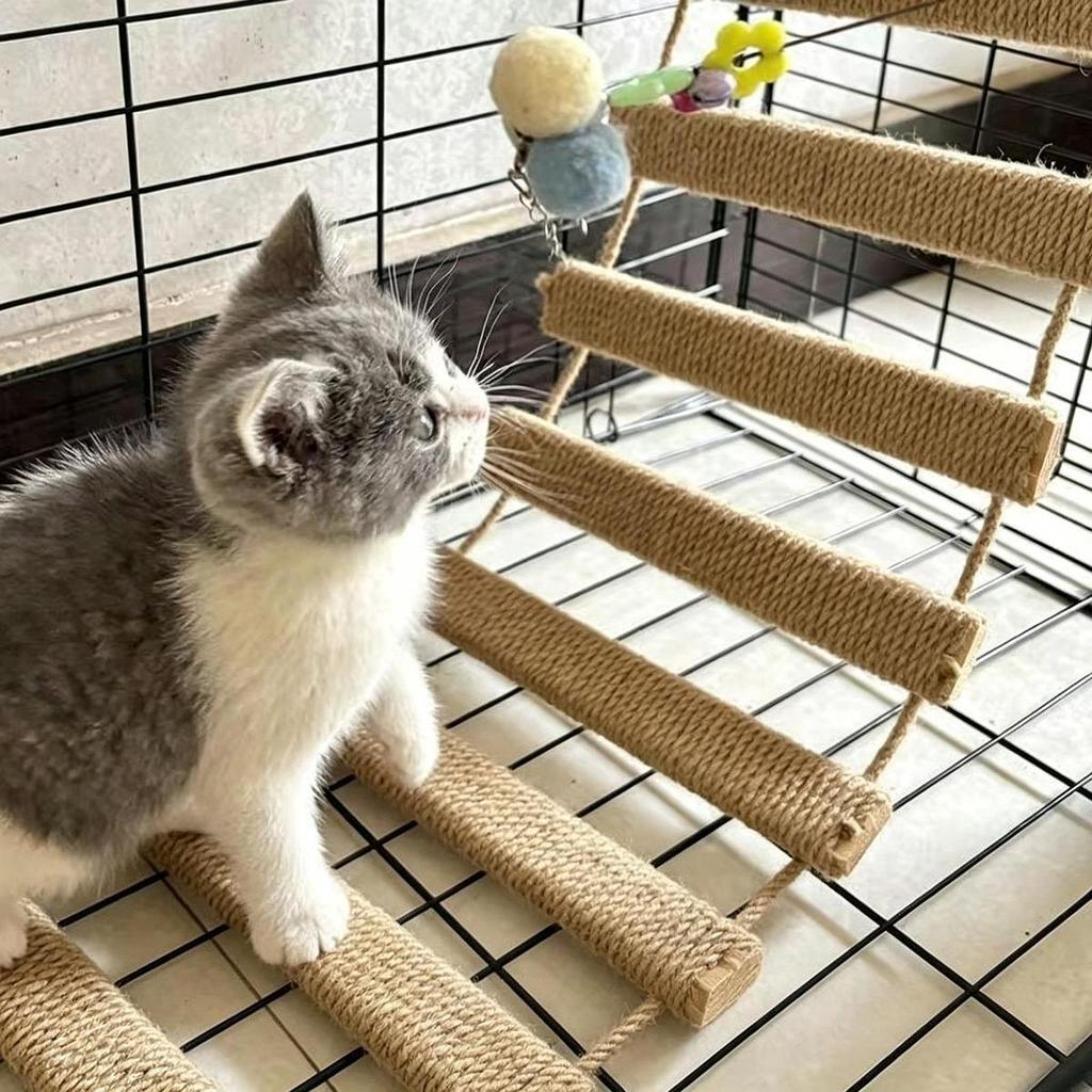 Cat Climbing Ladder Space Saving Scratcher with Rope Multifunctional Toy DIY Bridge with Rungs Cat Ladder for Small Pets Parrots