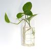 Glass Crafts Wall-mounted Hydroponic Plants Flower Vase Hydroponic Vase Plant Container Flower Pot