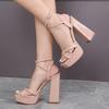 Fashion Designer Platform Ultra High Heels Women Sandals Sexy Fashion Open Toe Buckle Strap Catwalk Nightclub Stripper Shoes
