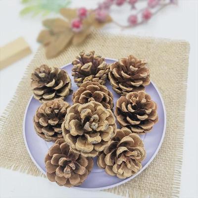 Natural Pine Cone Christmas Decorations with Dried and Immortal Flowers, White Dyed Pine Cone DIY Accessories