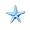 Korean Instagram Blogger Sky Blue Starfish Hair Clip Sweet Cool Seaside Vacation Duckbill Geometric Side Bangs