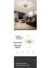 Nordic Modern LED Ceiling Light for Living Room and Bedroom