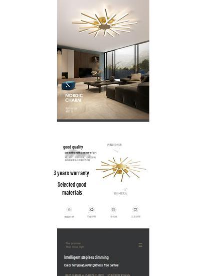 Nordic Modern LED Ceiling Light for Living Room and Bedroom
