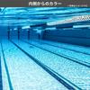 Swimming Goggles CLA Clear Fitness Adult Large Lens Antibacterial Cushion [Swans] Japanese-made SW-46re