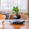 Magnetic Levitating Potted Plant - Creative Smart Home Decor Ornament