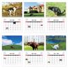12 Monthly Cat Butt Calendar 2026 Wall Calendar NEW Funny Cat Calendar  Office