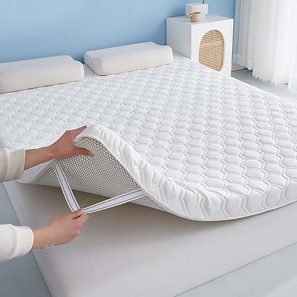 WTEMPO Soft Home Double-sided Bed Mattress Solid Color Thickened Single/Double Mattress Cushion Quilts Warm Winter Single Student Dormitory Mattress