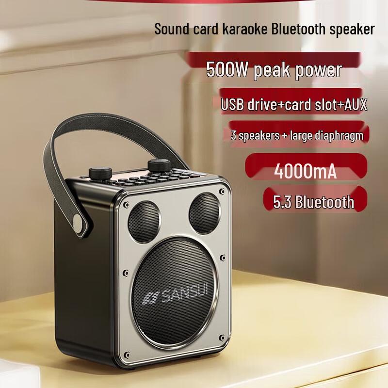 SANSUI D71 Portable Outdoor Bluetooth KTV Speaker