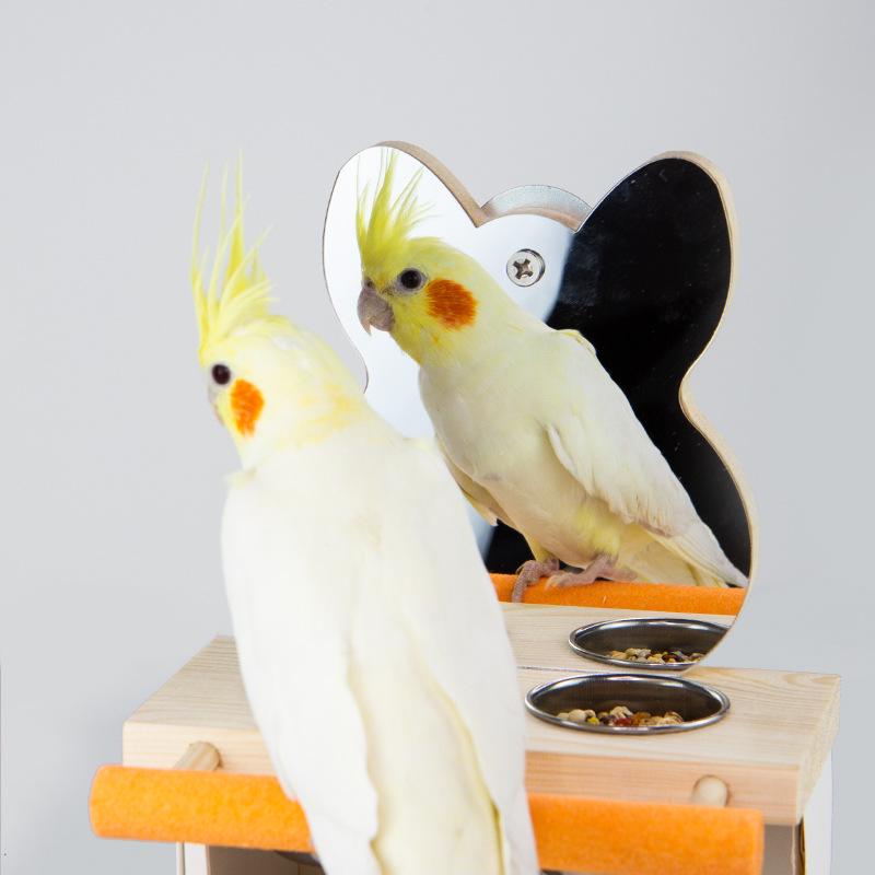 Edelstahl Papageienfutternapf mit Ständer, Snackbox, Vogelspiegel und Nagel-Schleifspielzeug