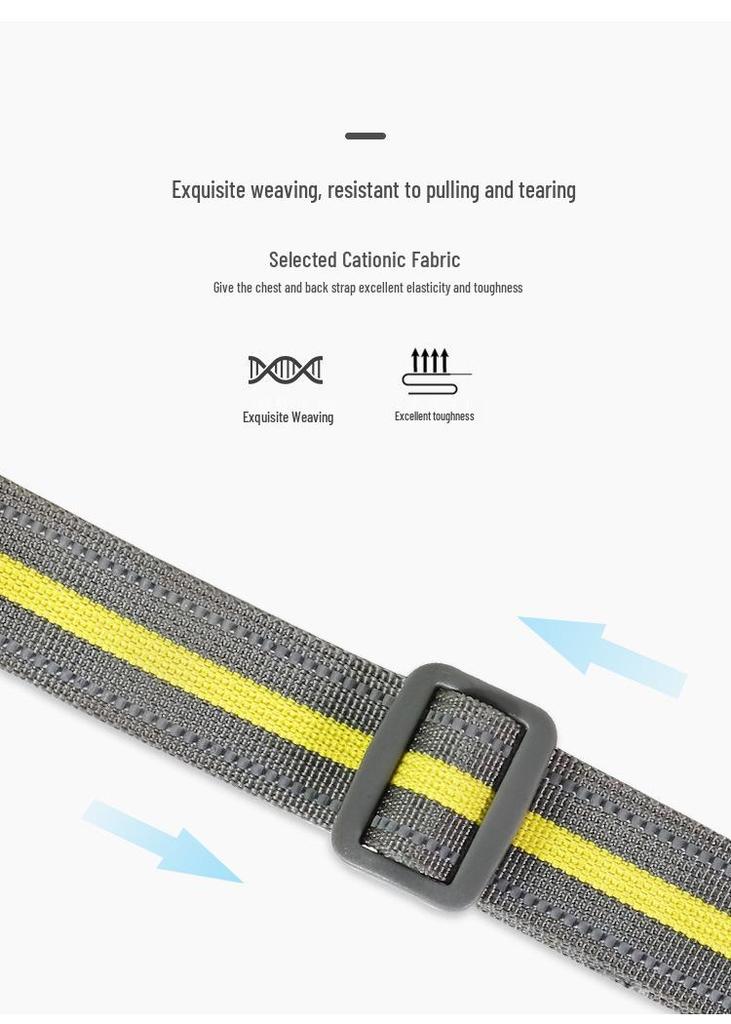 Pet Harness: Premium Nylon Anti-Shock Leash for Medium to Large Dogs