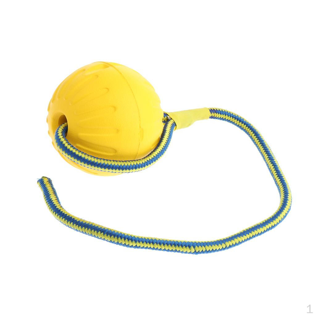Non-toxic Pet Teeth Yellow_L