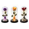 Halloween Rose Accent Light, Cloche Glass Cover with Warm String Lights for Window Ledges and Entry Tables at 