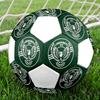 1PC PFC Ludogorets Size 5 Soccer Ball PrahaIndoor Soccer Ball Colorful All Ages Machine Stitched PVC Competition Ready Durable High-Bounce