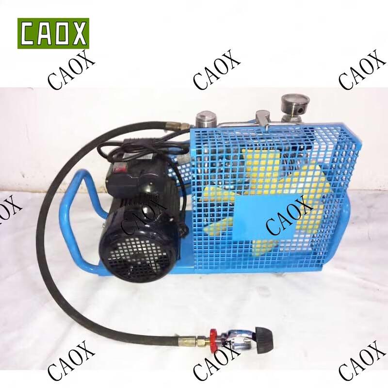 

CAOX HC-100 High-Pressure Diving Tank Air Compressor