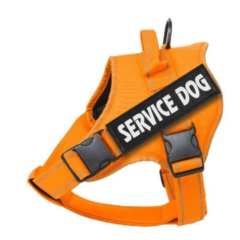 Dog Chest and Back Straps for Medium and Large-sized Pets, Anti-collision and Anti-slip