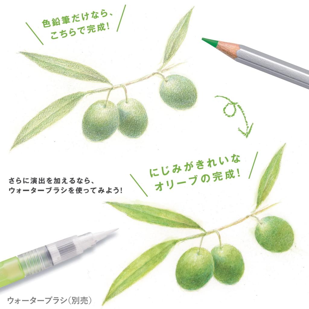 STAEDTLER Colored Carat Limited Edition Winter 36 125 M36W21 Pencils, Aquarelle, Package, Watercolor, Colors, Pieces,