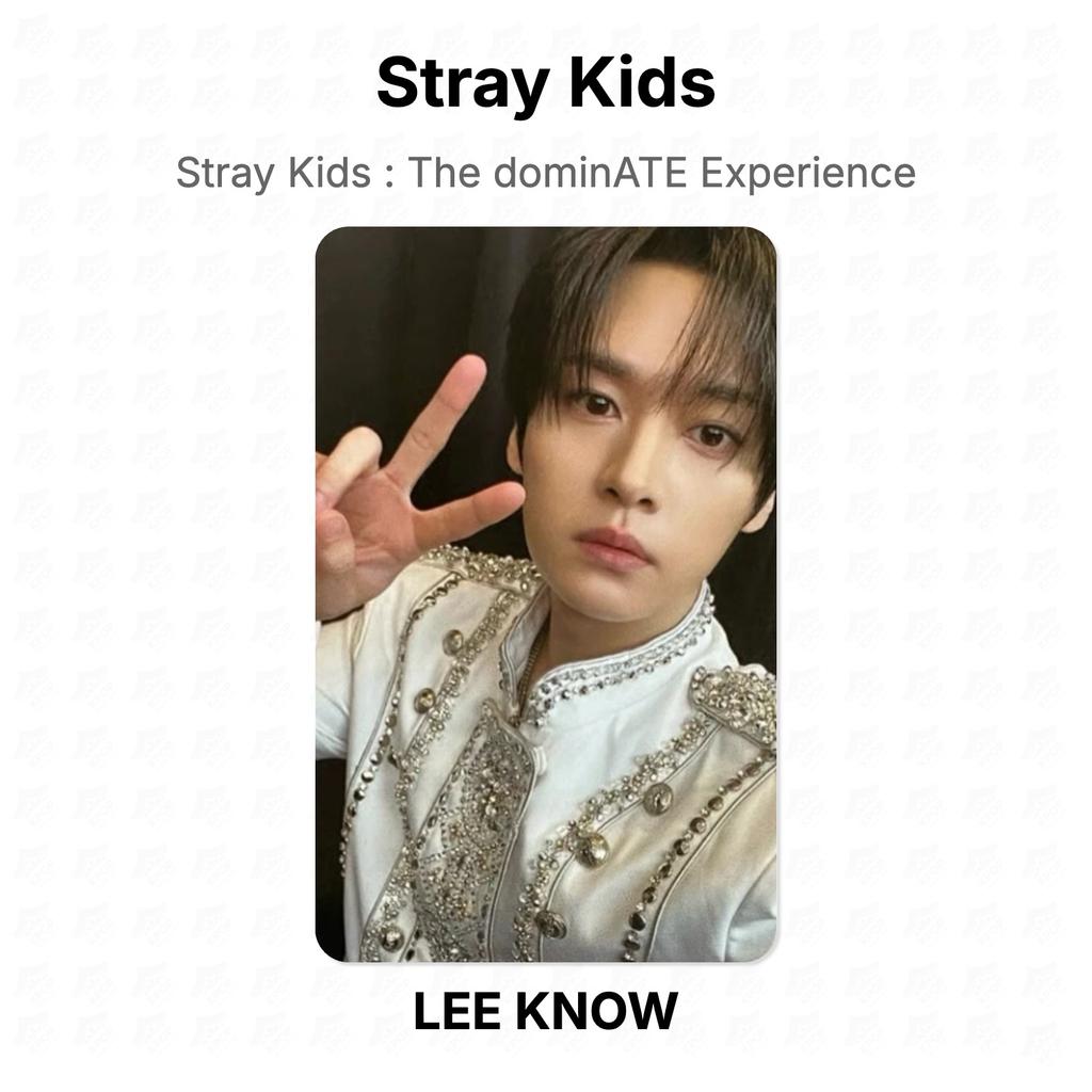 Stray Kids : The dominATE Experience Official Photocard