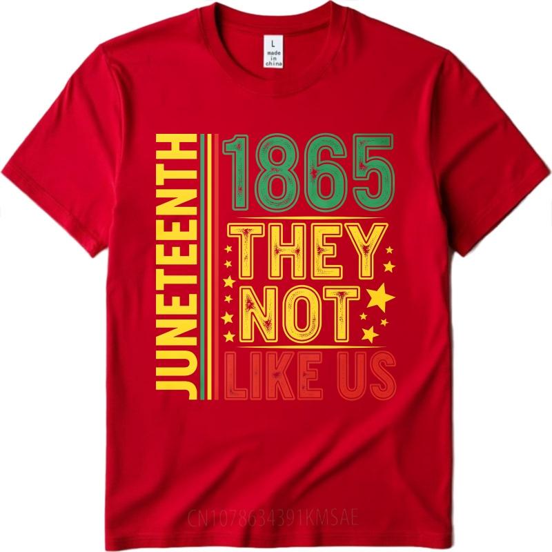 Unisexs tshirt Cotton Shirt Black Summer For Him Tshirt Juneteenth 1865 They Not Like Us Short Sleeve Solid Color ONeck Tees S