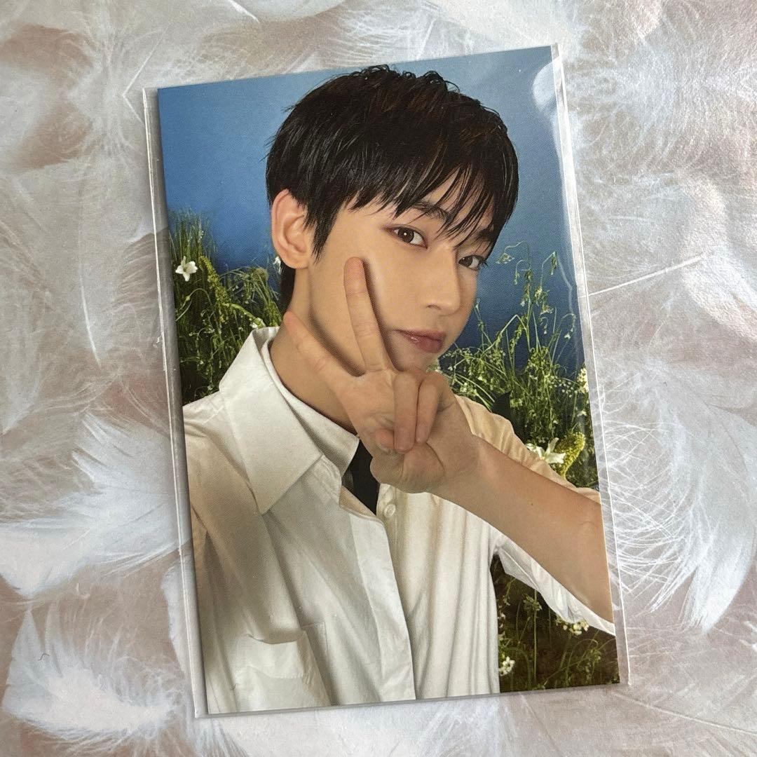 

[USED] ENHYPEN WALK The LINE FINAL purchase bonus trading card Sunwoo