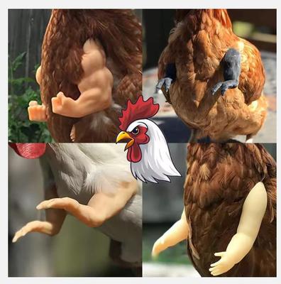 Chicken Arm Decoration Chicken Forelimb Decor Dinosaur Spoof Pet Props Chicken Arm Hulk Arms Chicken Themed Party Funny Decor