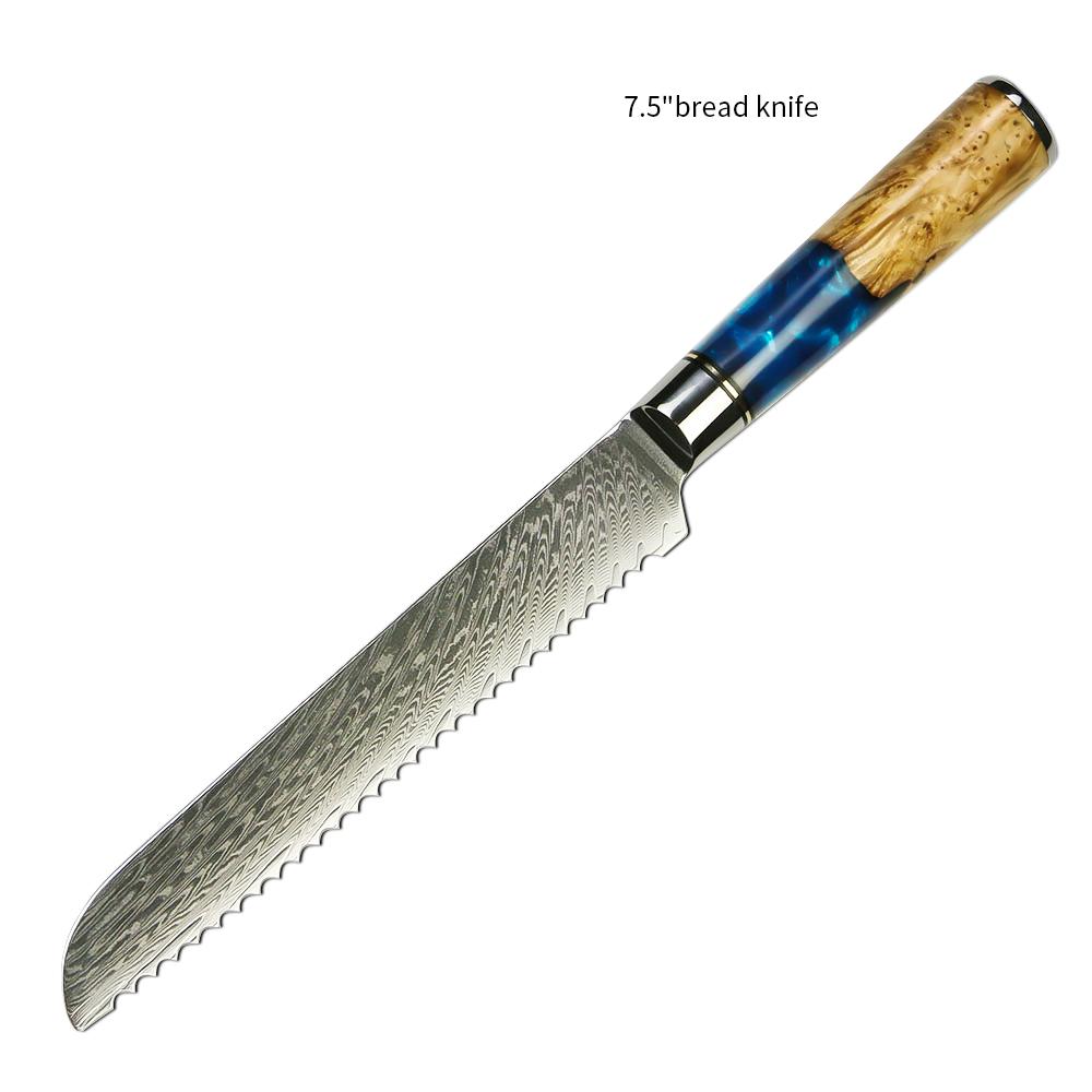 Amber Hot Selling 67-Layer Damascus Steel Kitchen Chef Knife Set Super Sharp Blade 10Cr15CoMoV Core with Resin & Wood Handle