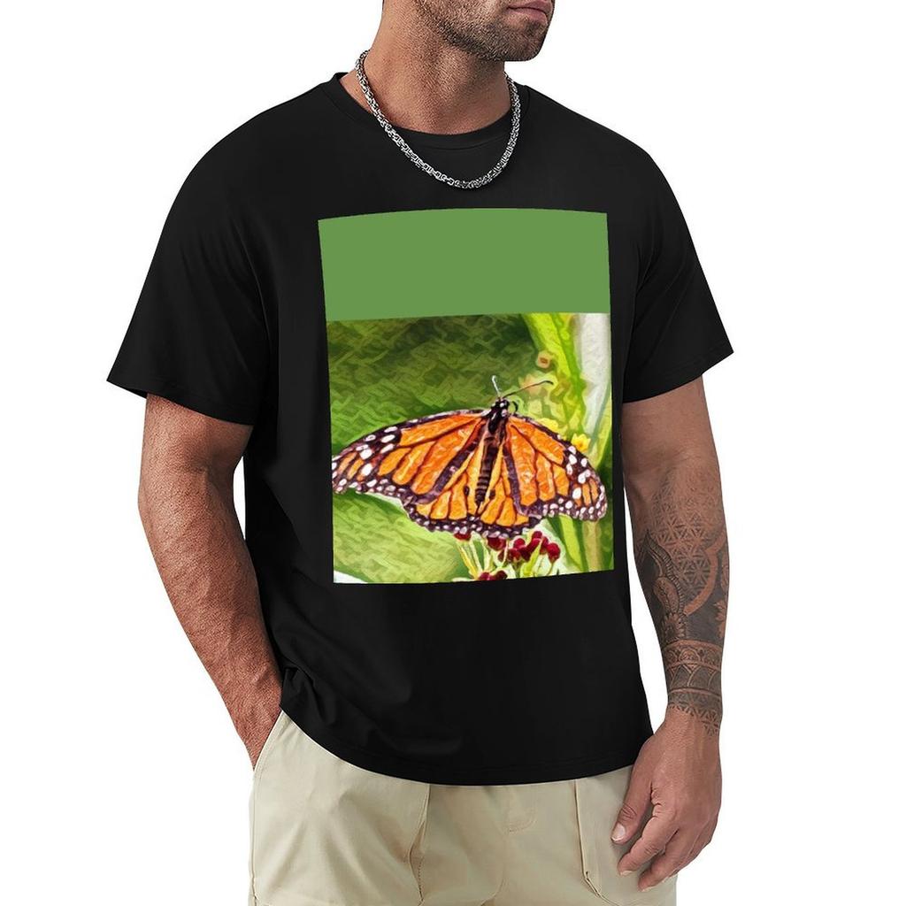 Old Monarch Butterfly Tshirt Large Size Basic Casual Tshirt