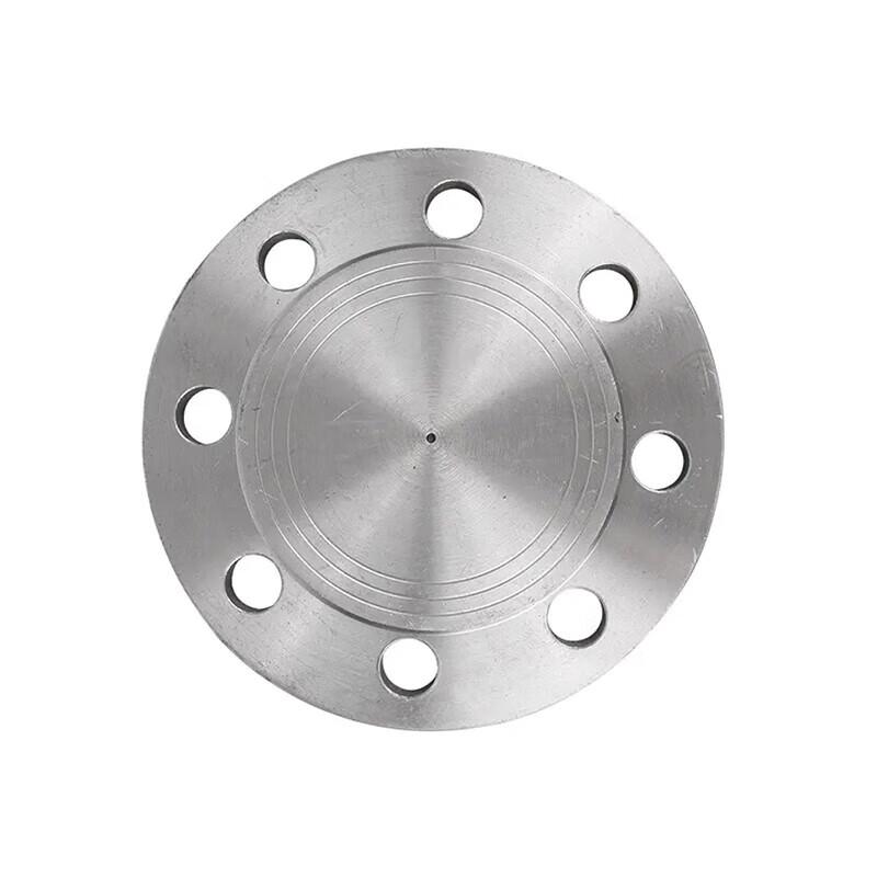 Stainless Steel Blind Flange