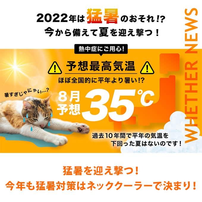 Thanko Nackenkühler Slim Grau FRZGRT2R