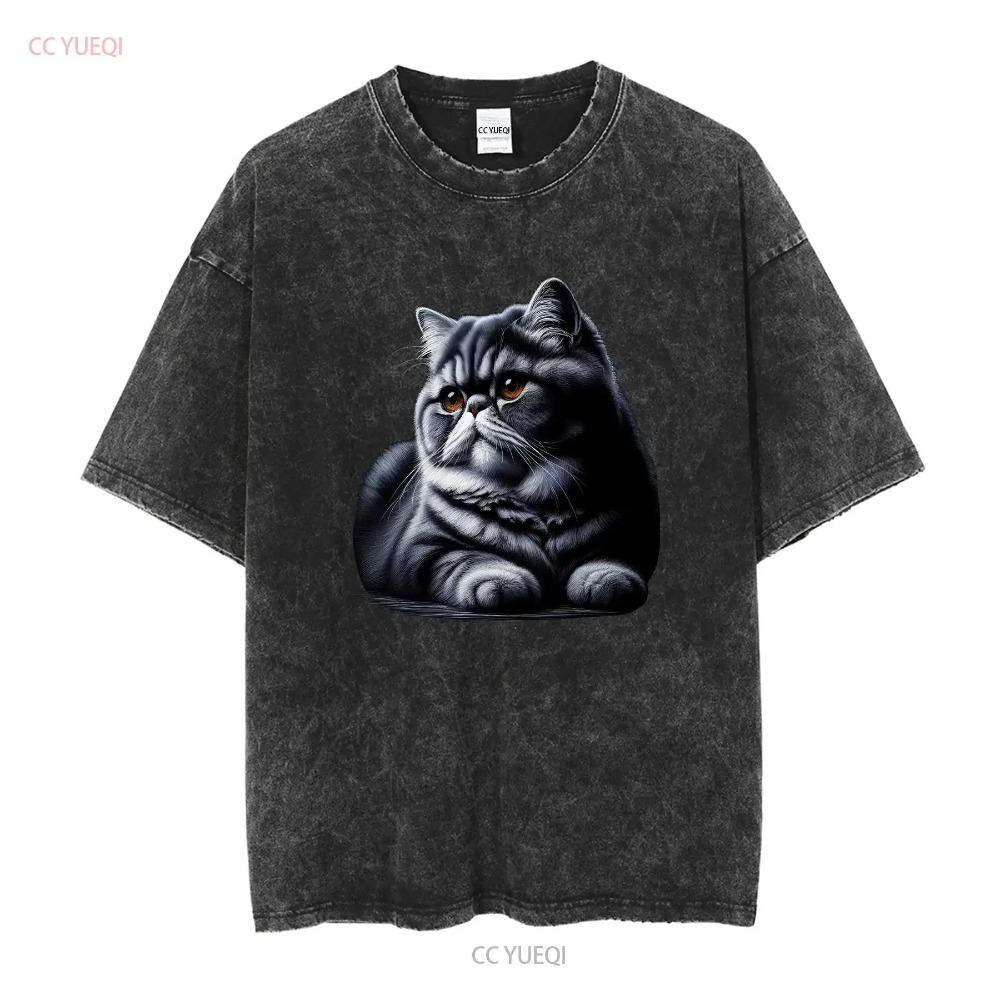 Kot egzotyczny krótkowłosy Damski T-shirt Uroczy vintage Prane ubrania projektanckie Miękki Casual Stylowy graficzny Oddychający streetwear